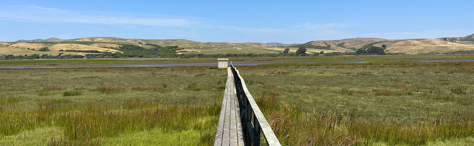 view of Tomales Bay from the Motel Inverness
